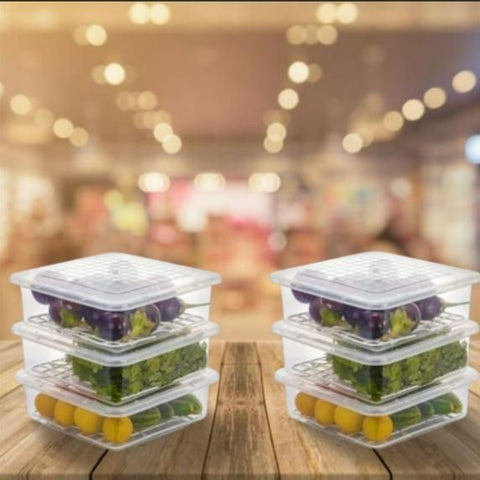 Fridge Storage Containers Box 28*20.5*5.5cm 6pc