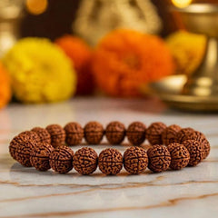 7 Mukhi Rudraksha Bracelet
