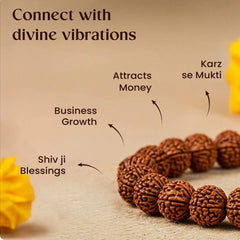 7 Mukhi Rudraksha Bracelet